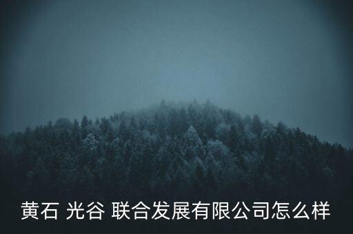 光谷聯(lián)合怎么樣,合肥光谷聯(lián)合肥發(fā)展有限公司更多信息!