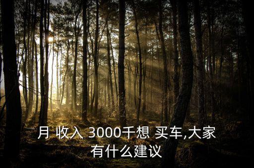 月 收入 3000千想 買車,大家有什么建議