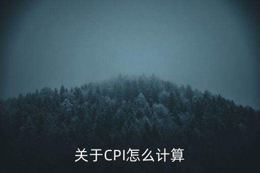 cpi怎么算錢,中國(guó)的cpi被嚴(yán)重低估了