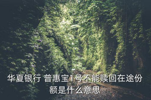 普惠寶基金怎么樣,華夏銀行普惠保1號(hào)暫不能贖回