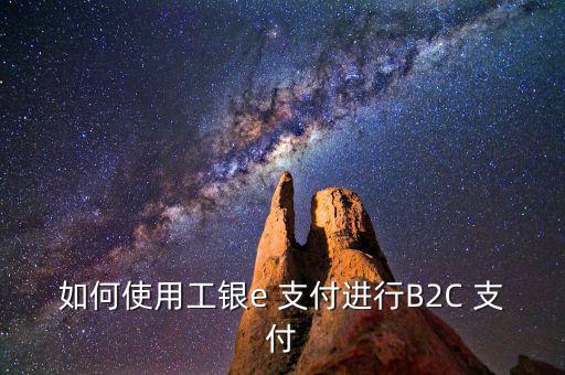 如何使用工銀e 支付進行B2C 支付