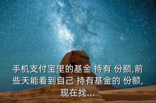 手機支付寶里的基金 持有 份額,前些天能看到自己 持有基金的 份額,現(xiàn)在找...