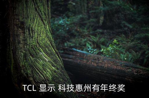 TCL 顯示 科技惠州有年終獎