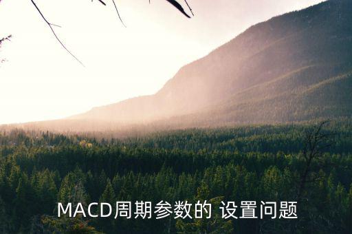  MACD周期參數(shù)的 設(shè)置問題