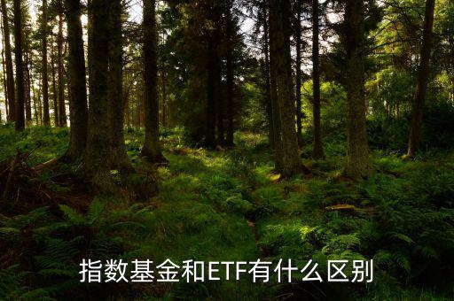 指數(shù)基金和ETF有什么區(qū)別