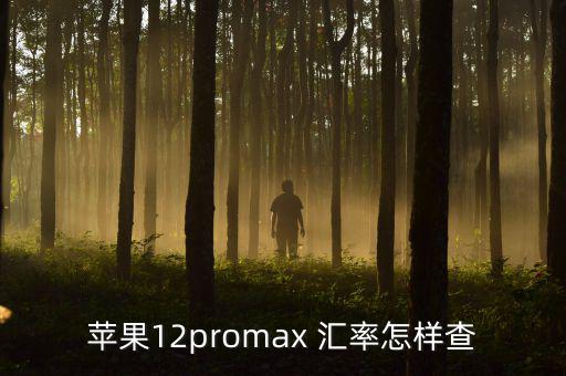 蘋果12promax 匯率怎樣查