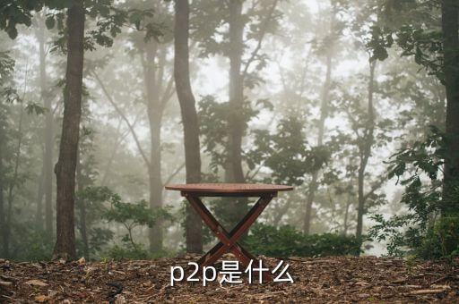  p2p是什么