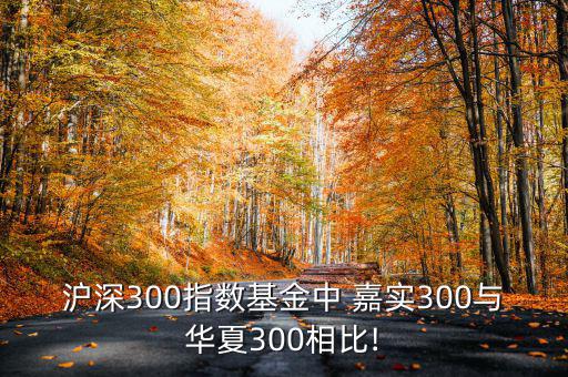 滬深300指數(shù)基金中 嘉實300與華夏300相比!