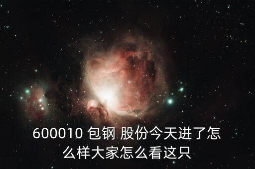 600010 包鋼 股份今天進了怎么樣大家怎么看這只