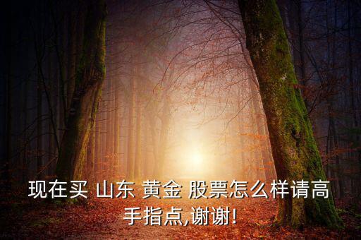 現(xiàn)在買 山東 黃金 股票怎么樣請(qǐng)高手指點(diǎn),謝謝!