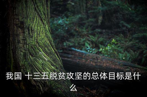 十三五農民怎么樣,目標:確保農村貧困人口溫飽兩不愁三保障