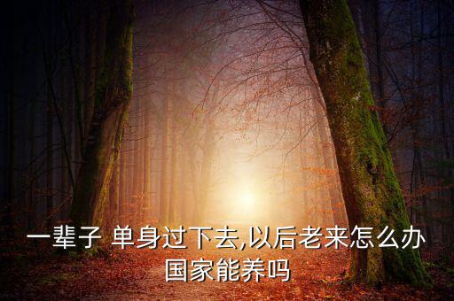 一輩子 單身過下去,以后老來怎么辦國家能養(yǎng)嗎