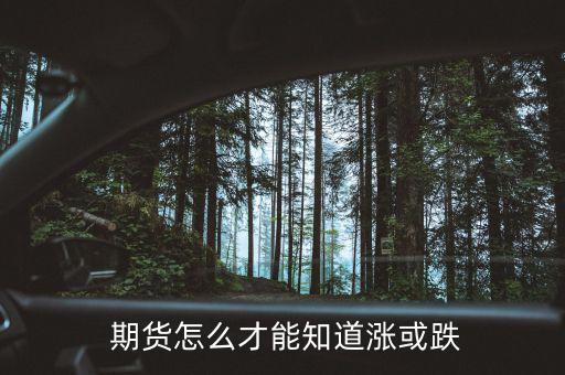  期貨怎么才能知道漲或跌