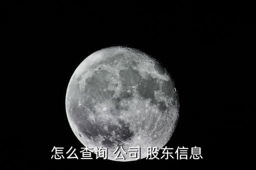 怎么查詢 公司 股東信息