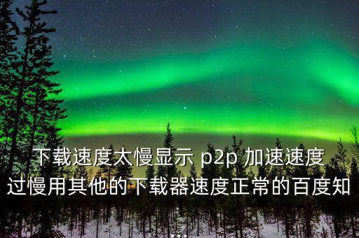 p2p怎么加速,學(xué)?；蛲瑢W(xué)用p2p終結(jié)者來網(wǎng)速應(yīng)該是這樣的