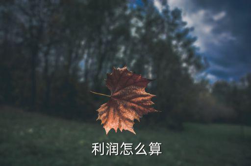  利潤怎么算