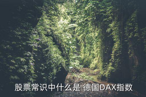  股票常識(shí)中什么是 德國DAX指數(shù)