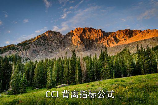  CCI 背離指標公式