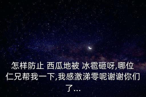 西瓜被冰雹打了怎么辦,不知道你種了什么?記好種子!