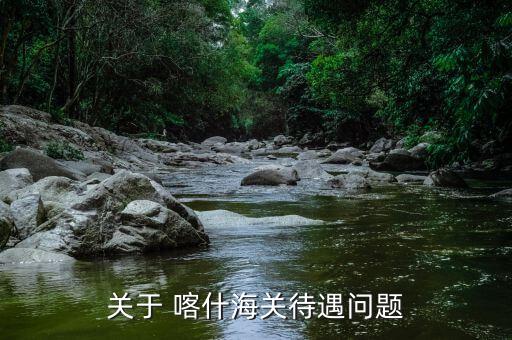 關于 喀什海關待遇問題