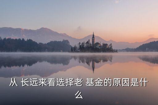 長(zhǎng)遠(yuǎn)基金怎么樣,長(zhǎng)期定投需要vision建議投指數(shù)型基金