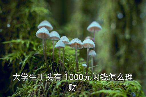 大學(xué)生手頭有 1000元閑錢怎么理財(cái)