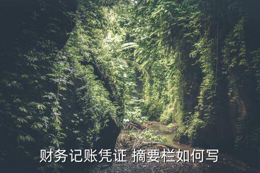 往來款摘要怎么寫,財(cái)務(wù)憑證摘要如何做到簡(jiǎn)明扼要?