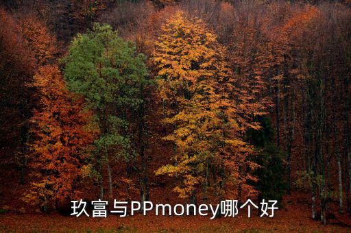 玖富與PPmoney哪個好