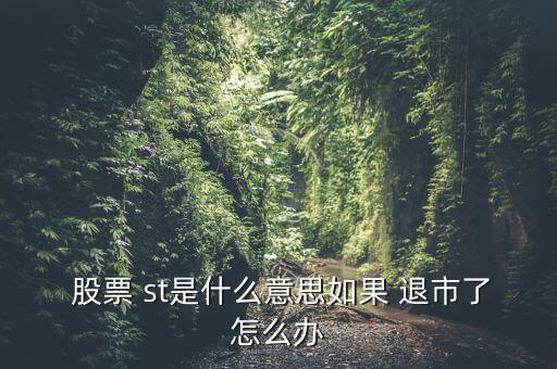  股票 st是什么意思如果 退市了怎么辦