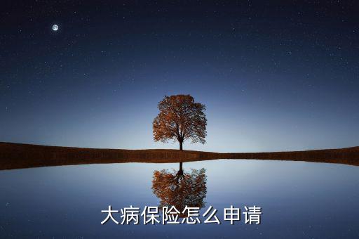 怎么投大病保險(xiǎn),大病保險(xiǎn)怎么交?