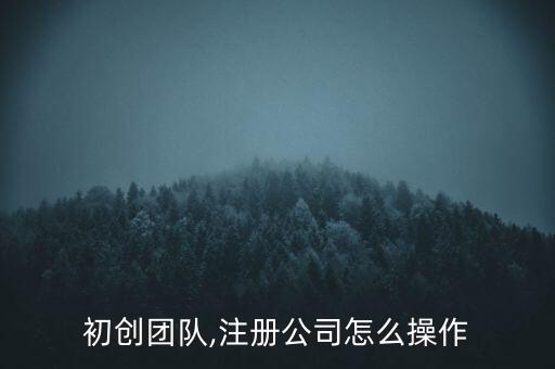 怎么注冊105團財務(wù),注冊有限責(zé)任公司需要注冊什么?