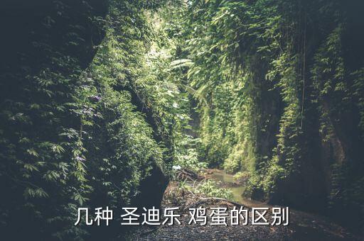 幾種 圣迪樂(lè) 雞蛋的區(qū)別