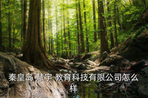 秦皇島 慧宇 教育科技有限公司怎么樣