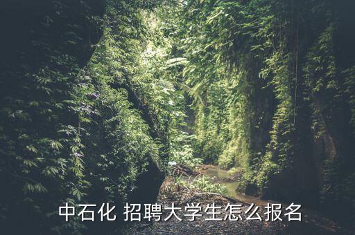 中石化招聘怎么退掉申請(qǐng),中石化集團(tuán)申請(qǐng)拿到退款