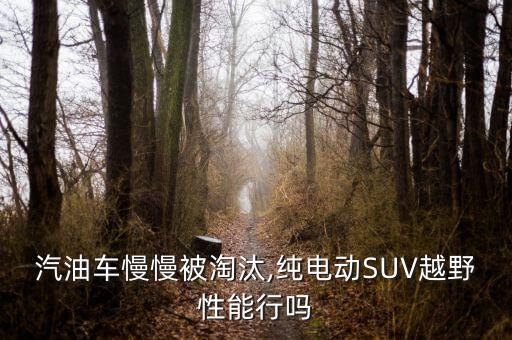 汽油車慢慢被淘汰,純電動SUV越野性能行嗎