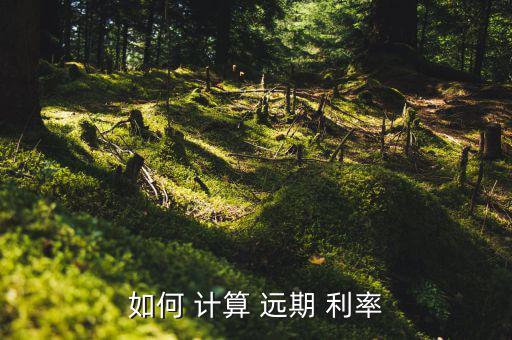 如何 計算 遠(yuǎn)期 利率