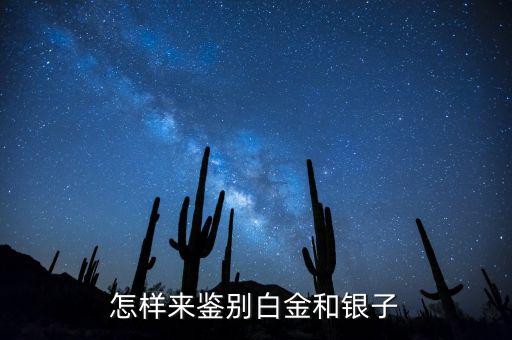 白銀熱電怎么樣,中國電力集團(tuán)公司注冊(cè)成立于甘肅省白銀市