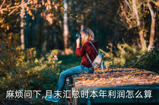 麻煩問(wèn)下,月末匯總時(shí)本年利潤(rùn)怎么算