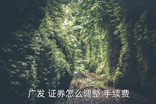  廣發(fā) 證券怎么調(diào)整 手續(xù)費