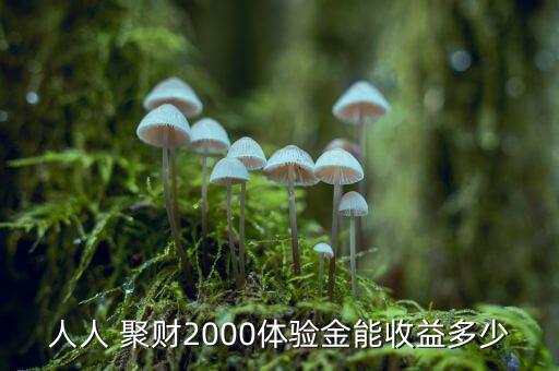 人人 聚財2000體驗金能收益多少