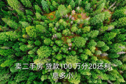 賣二手房 貸款100 萬分20還利息多小