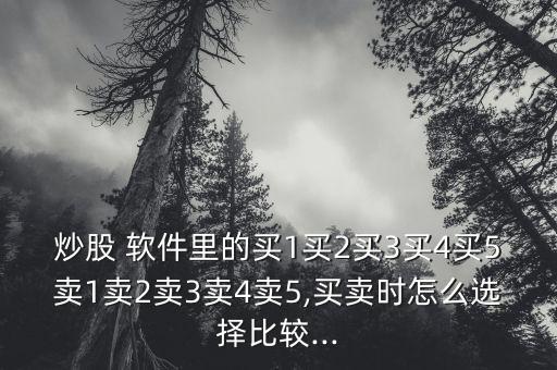 炒股 軟件里的買1買2買3買4買5賣1賣2賣3賣4賣5,買賣時怎么選擇比較...