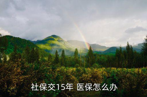 社保15年醫(yī)保怎么辦,醫(yī)療保險(xiǎn)繳納滿25年才能享受養(yǎng)老待遇