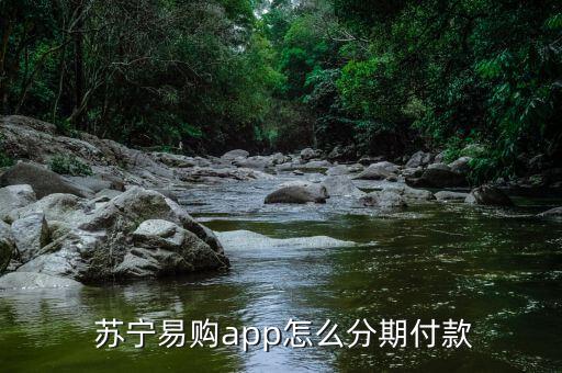  蘇寧易購app怎么分期付款