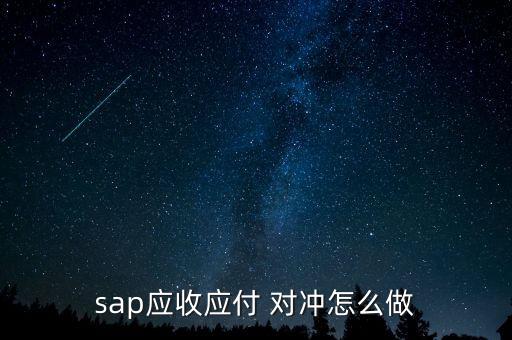 sap應(yīng)收應(yīng)付 對沖怎么做