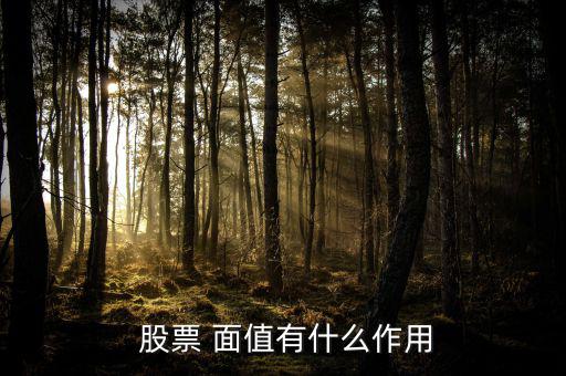 股票面值是怎么回事,第一次發(fā)行股票價(jià)格一般不低于面值