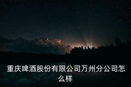  重慶啤酒股份有限公司萬州分公司怎么樣