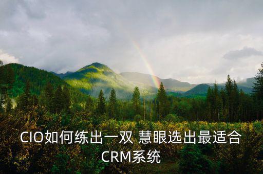 CIO如何練出一雙 慧眼選出最適合CRM系統(tǒng)