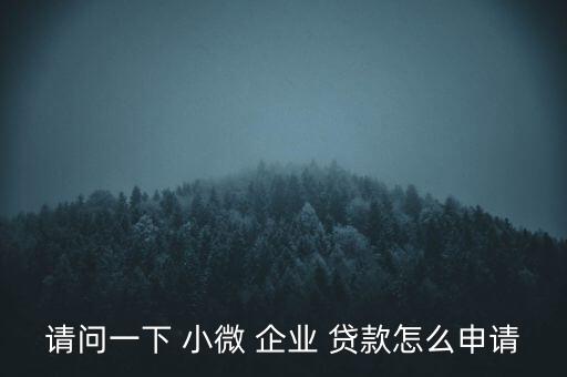 請(qǐng)問(wèn)一下 小微 企業(yè) 貸款怎么申請(qǐng)