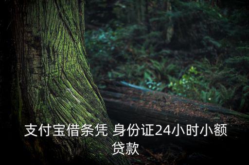 支付寶加身份證怎么貸款,身份證24小時(shí)貸款需要什么?